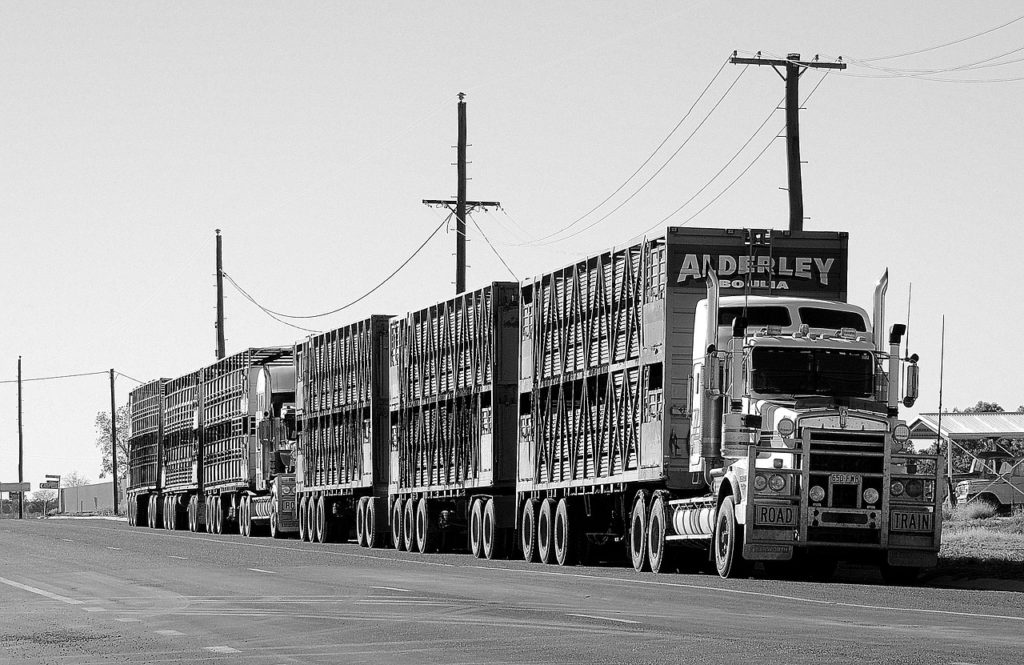 motor truck cargo insurance